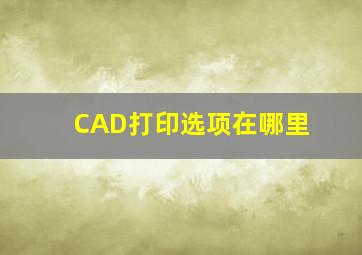 CAD打印选项在哪里