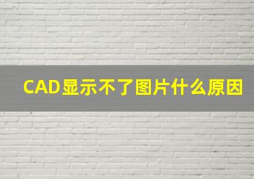 CAD显示不了图片什么原因