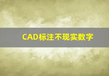 CAD标注不现实数字