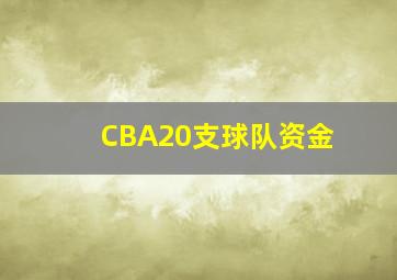 CBA20支球队资金