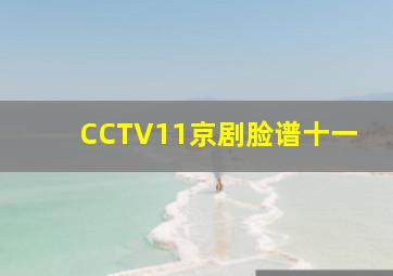 CCTV11京剧脸谱十一