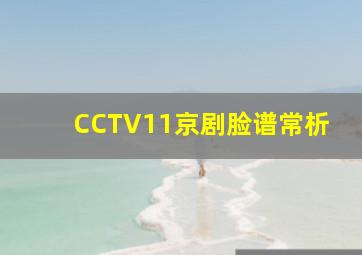 CCTV11京剧脸谱常析