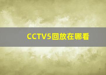 CCTV5回放在哪看