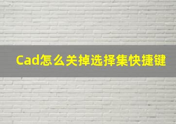 Cad怎么关掉选择集快捷键