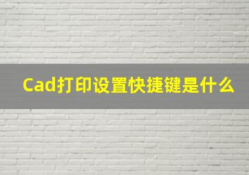 Cad打印设置快捷键是什么