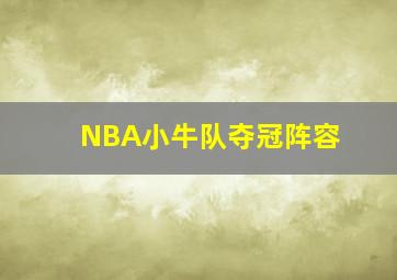 NBA小牛队夺冠阵容