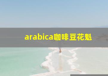 arabica咖啡豆花魁