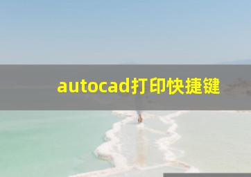 autocad打印快捷键