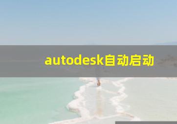 autodesk自动启动