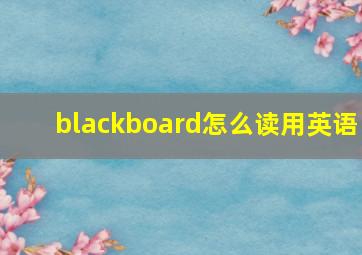 blackboard怎么读用英语