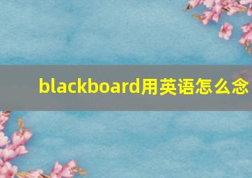 blackboard用英语怎么念