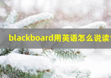 blackboard用英语怎么说读音