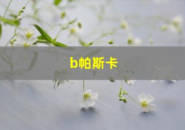 b帕斯卡