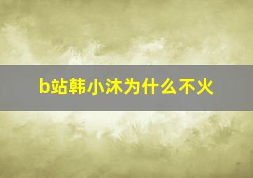 b站韩小沐为什么不火