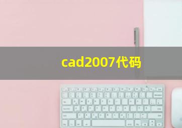 cad2007代码