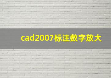 cad2007标注数字放大