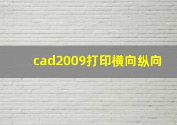 cad2009打印横向纵向