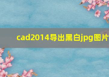 cad2014导出黑白jpg图片