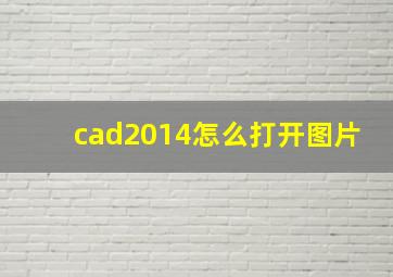 cad2014怎么打开图片