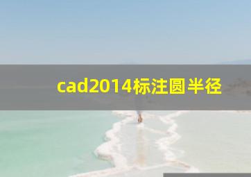 cad2014标注圆半径