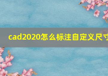 cad2020怎么标注自定义尺寸