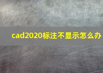 cad2020标注不显示怎么办