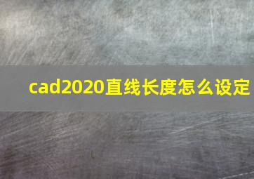 cad2020直线长度怎么设定