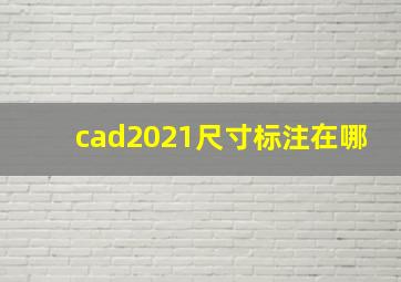 cad2021尺寸标注在哪