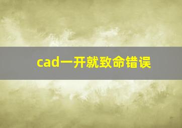 cad一开就致命错误