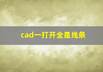 cad一打开全是线条