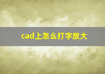 cad上怎么打字放大