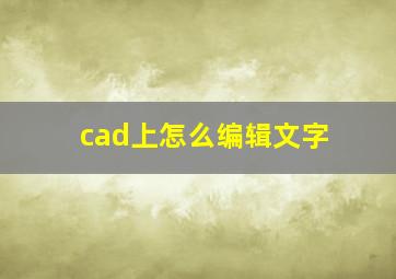 cad上怎么编辑文字