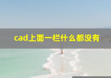 cad上面一栏什么都没有