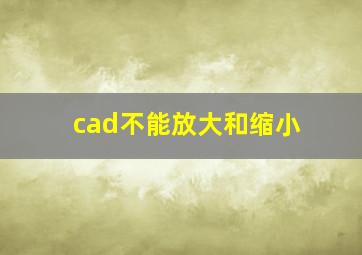 cad不能放大和缩小