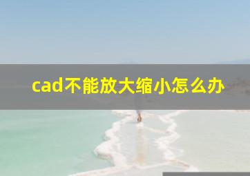 cad不能放大缩小怎么办