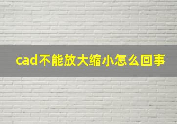 cad不能放大缩小怎么回事