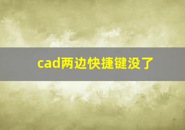 cad两边快捷键没了