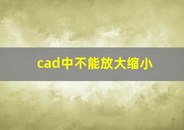 cad中不能放大缩小