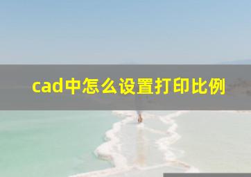 cad中怎么设置打印比例