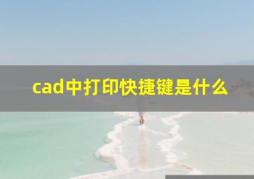 cad中打印快捷键是什么