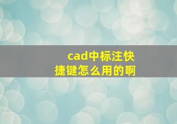 cad中标注快捷键怎么用的啊