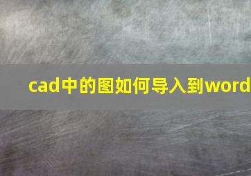 cad中的图如何导入到word