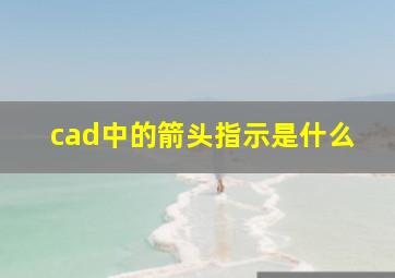 cad中的箭头指示是什么