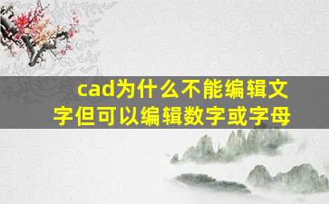 cad为什么不能编辑文字但可以编辑数字或字母