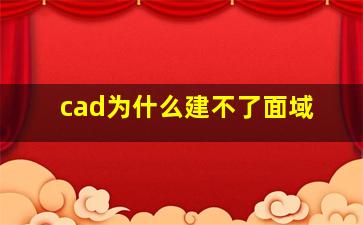 cad为什么建不了面域