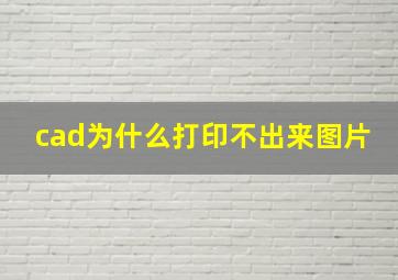 cad为什么打印不出来图片