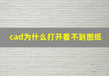 cad为什么打开看不到图纸