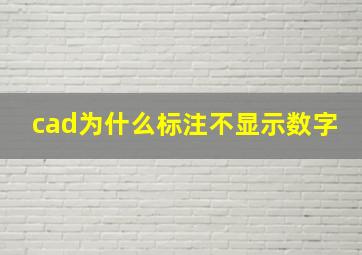 cad为什么标注不显示数字