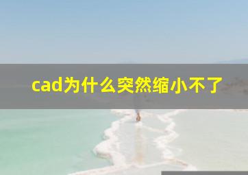 cad为什么突然缩小不了