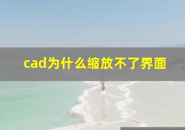 cad为什么缩放不了界面